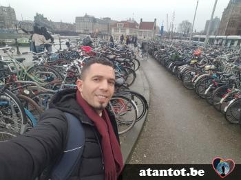 aminefo