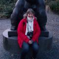 Wallonie chat